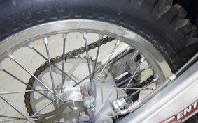 GASGAS EC 250 F