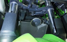 KAWASAKI NINJA 250 EX250L
