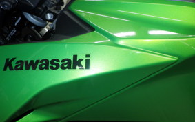 KAWASAKI Z125 PRO 2021 BR125H
