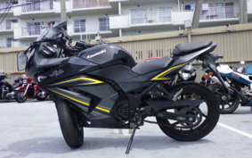 KAWASAKI NINJA 250R EX250K