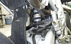 YAMAHA WR250R 2026 DG15J