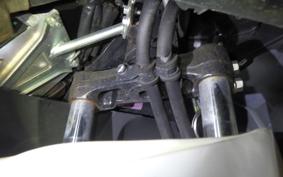 HONDA PCX125 2024 JF81