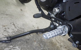 DUCATI SCRAMBLER ICON 2023