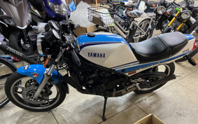 YAMAHA RZ250R 29L