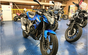 KAWASAKI Z250 SL BR250E