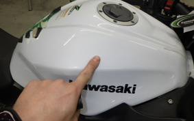 KAWASAKI Z250 2009 ER250C