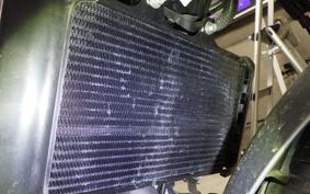 HUSQVARNA SVARTPILEN 250