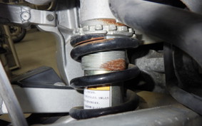 SUZUKI RGV250 Gamma Gen.3