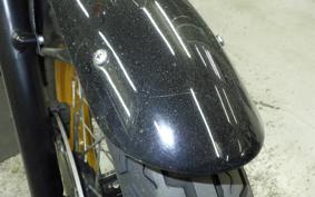 KAWASAKI W800 2011 EJ800A
