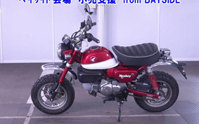 OTHER  MONKEY 125