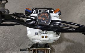 HONDA ZUMAR AF58