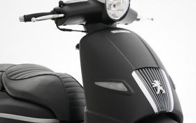 OTHER PU GEORGE YANGO125ABS