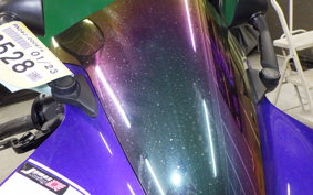 YAMAHA YZF-R1 2009 RN24J