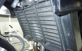 HONDA CB400 SUPER BOLDOR A 2021 NC42