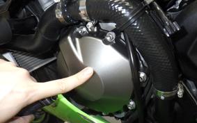 KAWASAKI NINJA ZX-6R A 2020 ZX636G