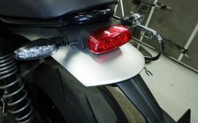 TRIUMPH SPEED TWIN 2024