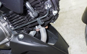KAWASAKI Z125 PRO 2024 BR125H