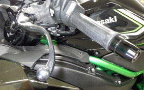 KAWASAKI ZH2 2020 ZRT00K