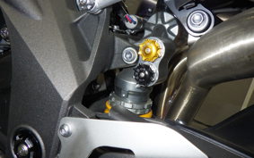 TRIUMPH SPEED TRIPLE RS 2019
