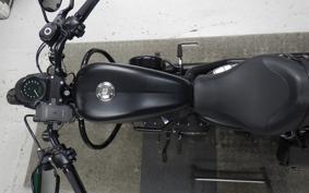 HARLEY XL883N 2020