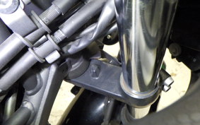 KAWASAKI NINJA 250 2 2020 EX250P
