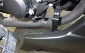 HONDA REBEL 250 2012 MC49