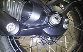 TRIUMPH TIGER 1200 RALLY EX 2023