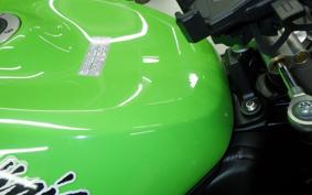 KAWASAKI NINJA ZX-6R A