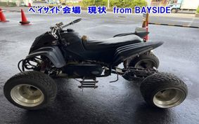 OTHER ヨンリン バギー