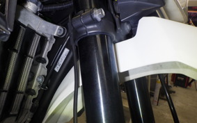 KAWASAKI KLX250D TRACKER X 2025 LX250V