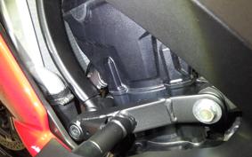 KAWASAKI NINJA 1000SX 2024 ZXT02K