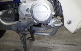 HONDA C110 SUPER CUB 2021 JA61