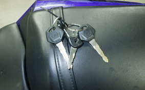 YAMAHA YZF-R25 A RG43J