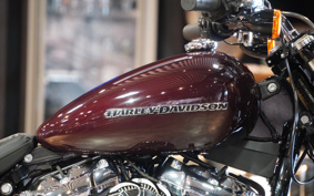 HARLEY FXBRS 2021 YHK