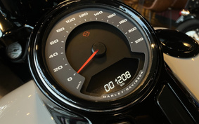 HARLEY FLFB 2025 YF9