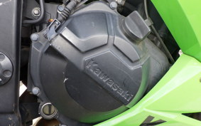 KAWASAKI NINJA 250 ABS EX250L