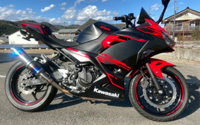 KAWASAKI Ninja 250 ABS EX250P
