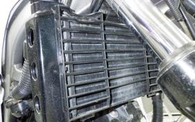HONDA VTZ250 MC15