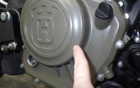 HUSQVARNA SVARTPILEN 250 2020