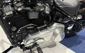 HARLEY FXST1340-1450 2022 BVJ