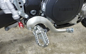 YAMAHA WR250X 2020 DG15J