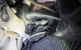 DUCATI DESSERT X 2022