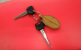 HONDA CRF250L 2021 MD47