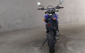 YAMAHA WR250X DG20