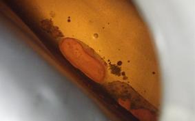 YAMAHA SR400 Gen.3 2001 RH01J
