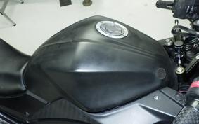 KAWASAKI NINJA 250 EX250L