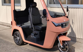 OTHER VEHICLE FUN EVTUKTUK ...