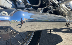 KAWASAKI ESTRELLA RS LTD BJ250A