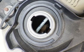 HONDA CT125 HUNTER CUB JA55