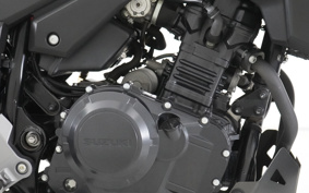 SUZUKI STROM 250ABS DS11A
